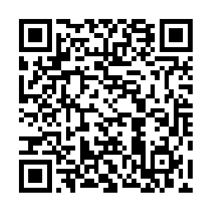 就是马文的爷爷申请了蛮荒开拓令之后开拓出来的新领地二维码生成