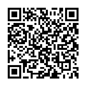 就更加地证明了王者并不是有计划地在博取名声二维码生成