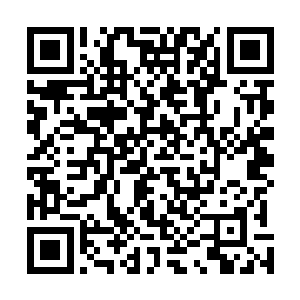 就更是让秦嫣然整个人都不自觉顺势地靠在了林烽的身上二维码生成
