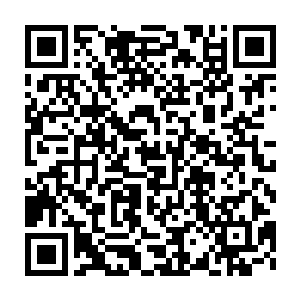 就有一只还处于幼生期的血麒麟的幼崽……一只实力还相当低微的幼崽二维码生成