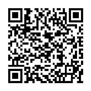 就有许多医生和护士推着担架车紧急的来回走动二维码生成
