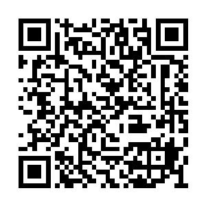 就朝着他逃离魔族战士追击的路线沿路快速返回二维码生成