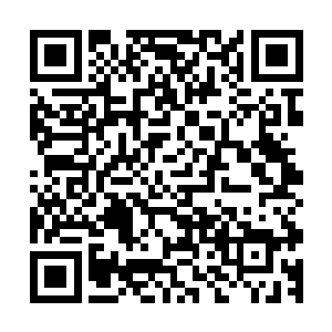 就比如你今天演示的那具伟大的骨器应该也属于治疗骨器范围二维码生成
