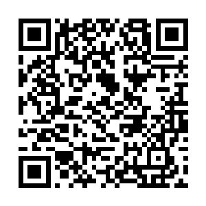 就没有在她的脸上见到过除了淡漠与冷笑之外的表情二维码生成