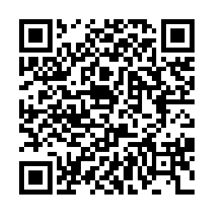 就没有暗帝那么野心勃勃敢于在自己本体上赌博实验二维码生成