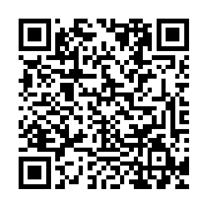 就治好了雷天奔溃的身体还给他带来了和之前苦修十天一样多二维码生成