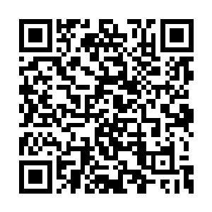 就注定会达到九级龙之文明或者更高的级别文明二维码生成