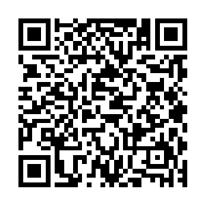 就猛地看到儿子杨秉坤被林烽一巴掌从别墅门口给扇飞了出来二维码生成