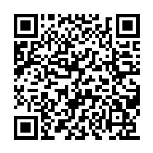 就猜想会不会是通过幻阵抵抗来提升修士的神识二维码生成