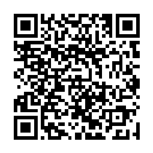 就现在我还能看到它肚子上让钢条磨出的一道道印痕呢二维码生成