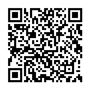 就直接进入了那种气势如虹横扫千军的无敌模式二维码生成