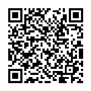 就看到一副无比诡异的场面――李耀那件沾满血雾二维码生成