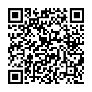 就看到一抹熟悉的身影坐在了大厅一角的沙发上二维码生成