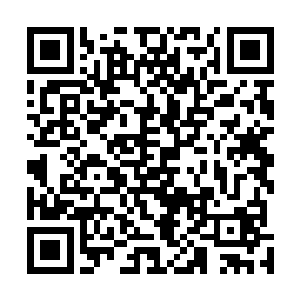 就看到了兰云曦看向自己的目光之中多了一丝欣赏和鼓励二维码生成