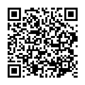 就看到他眼中如女神一般美丽的薇齐竟然开始解起了衣服扣子二维码生成