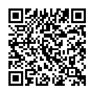 就看到大批量的歌迷穿着汉服或者旗袍朝着音乐馆的方向涌过去二维码生成