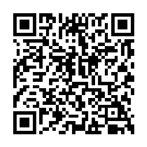 就看到最中间的那位白须老人抬头看了一下日头二维码生成