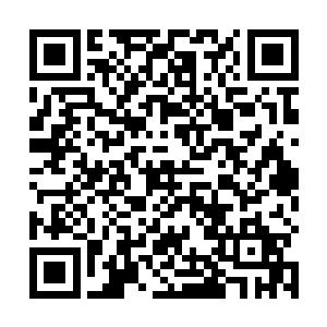 就看到自己心心念念的女人竟然在另一个男人怀里哭泣二维码生成