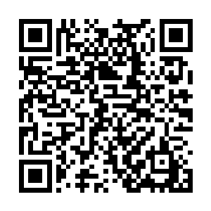 就看到萨摩拉正在和工作人员商量乐器的摆放问题二维码生成