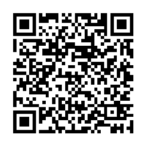 就看到被自己邪火焚炎吞噬的韩风在其内悠闲不已二维码生成