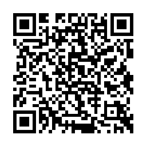 就看到身后一大串不甘心的尾巴依旧在后面追着二维码生成