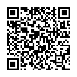 就看到那丫头正坐在院儿里的枣树底下吃着烤鸭卷饼二维码生成