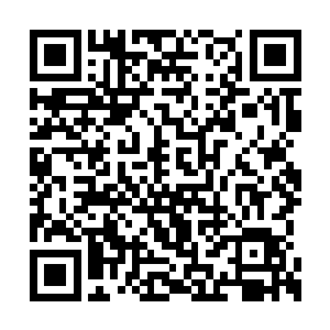 就看到陈露萍和姥姥叶慧琴拎着菜篮子走了上来二维码生成