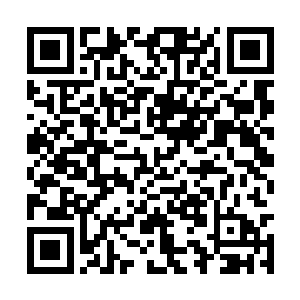 就看见一个少年和一个背药箱的女子迎头走了过来二维码生成