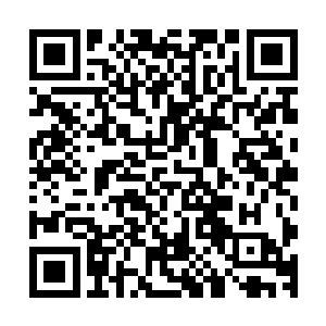 就看见原本和他一起在马车里的太监被金琉璃直接拍到了地上二维码生成