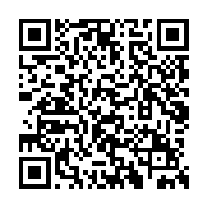 就看见楼梯上站着几个身穿蓝色长衫的慕容族人二维码生成