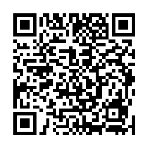就看见道路中间已经在熊熊火焰之中燃烧的装甲车的残骸二维码生成