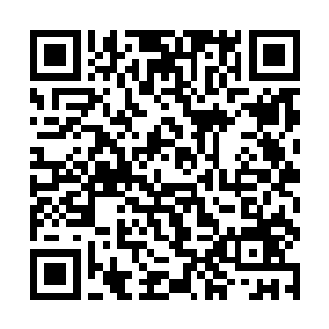 就看见院子里面几个百姓拿着尖头木棍朝着墙上乱戳二维码生成