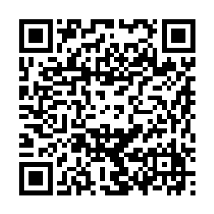就看那些气势汹汹的血卫已对着四周走过的行人大开杀戒二维码生成