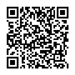 就知道巴克基本就没付出多少建筑师的工作时间二维码生成