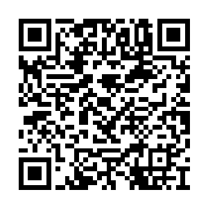 就知道自己这几天苦心经验下来的形象要崩塌了二维码生成