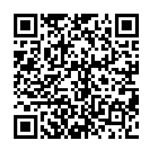 就知道这个同为高等种族的虫仙子是怎样的花样拉仇恨了二维码生成