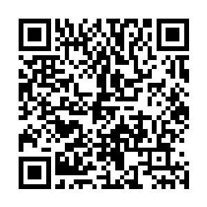 就立刻急不可待地从里面的衣兜里掏出了一盒香烟和打火机二维码生成