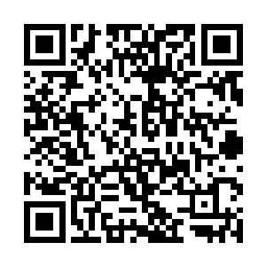 就立即从怀中掏出一枚灵石恭敬的递给那个刀疤大汉二维码生成