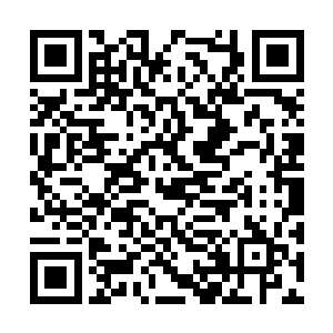 就等于他们的身体的一部分被割断了一样受了重伤二维码生成