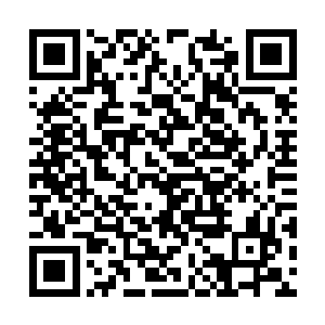 就等于这个剑圣遗迹被把持在紫天府各个家族手中二维码生成