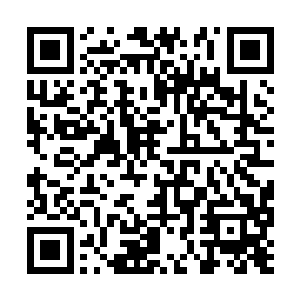 就算万公公已提前告诉她要自杀的蓝侍郎被拦下了二维码生成