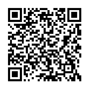 就算不能吊起来也要在别人伸勺子的时候喝口汤二维码生成