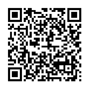 就算不能研究出彻底解决大堂哥体质问题的良药秘方二维码生成