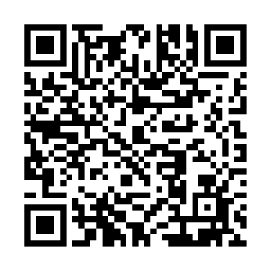 就算他们来一千人也敌不过这五千的钢牙狸鼠的群攻二维码生成