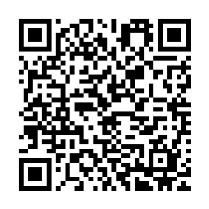 就算他是领域高手也不可能做到一个人同时对付二十多个人吧二维码生成