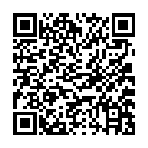 就算他真的是宇宙第一剑姬也不可能打出剑姬的绝招一秒五刀二维码生成