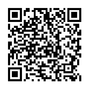 就算你实力不错――就算叶家人当真拦截不下你二维码生成