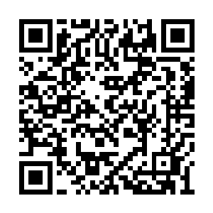 就算再差也能往自己的履历表里写下重重的一笔二维码生成