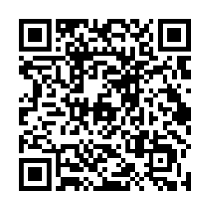 就算几位副府主早已经忘记了半圣十品这个传说的等级二维码生成