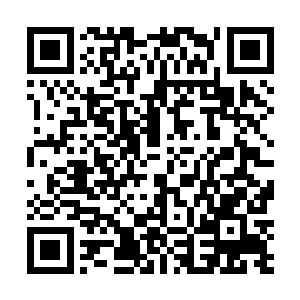 就算叶文华不是主使者也绝对是睁只眼闭只眼的纵容了二维码生成